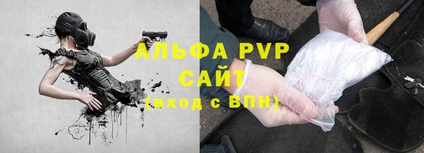 крисы Богородицк