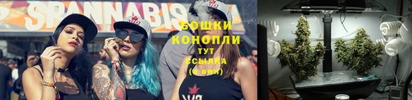 ПСИЛОЦИБИНОВЫЕ ГРИБЫ Богородск