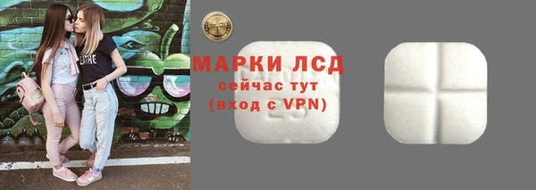 крисы Богородицк