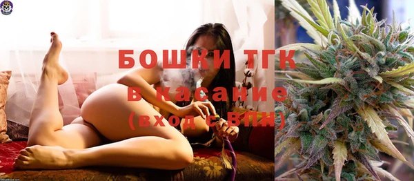 крисы Богородицк