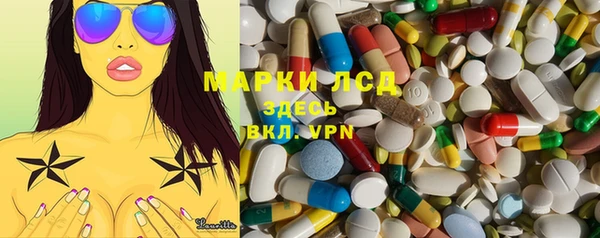 крисы Богородицк