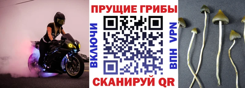 Галлюциногенные грибы GOLDEN TEACHER Дивногорск